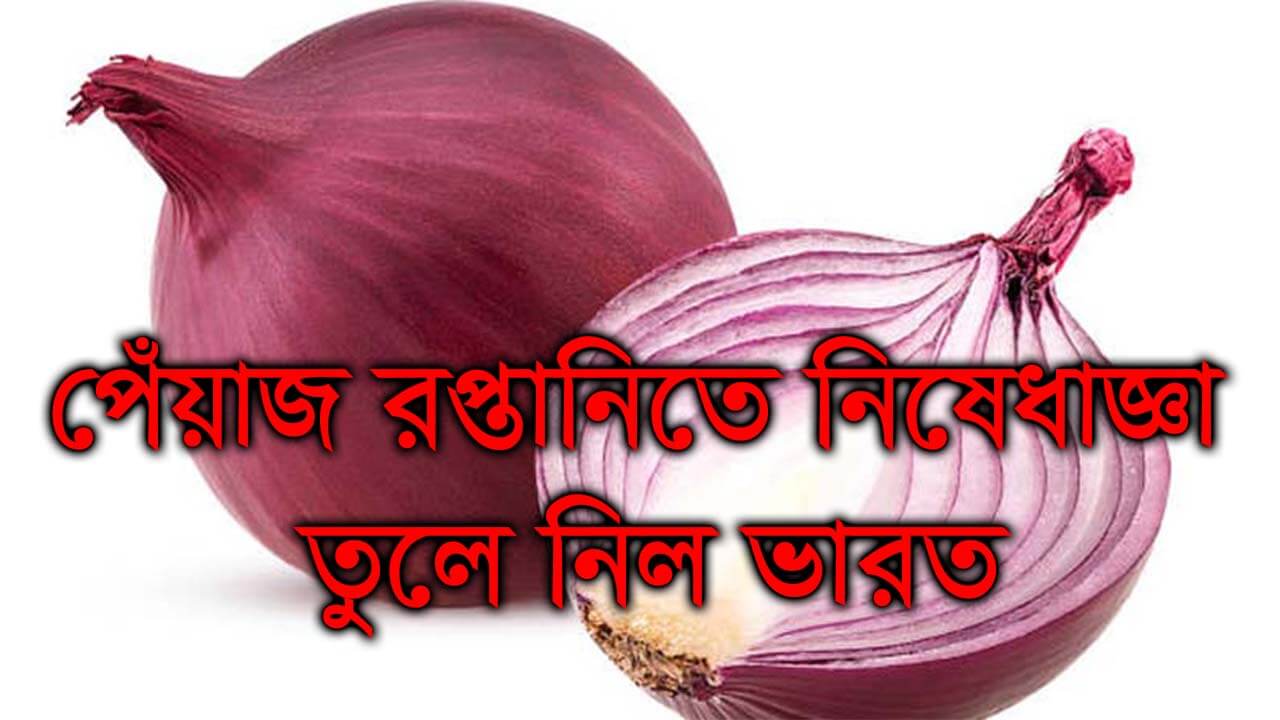 পেঁয়াজ রপ্তানিতে নিষেধাজ্ঞা তুলে নিল ভারত