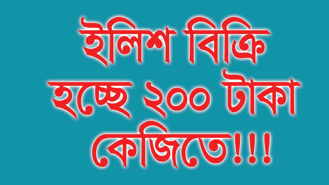 ইলিশ বিক্রি হচ্ছে ২০০ টাকা কেজিতে