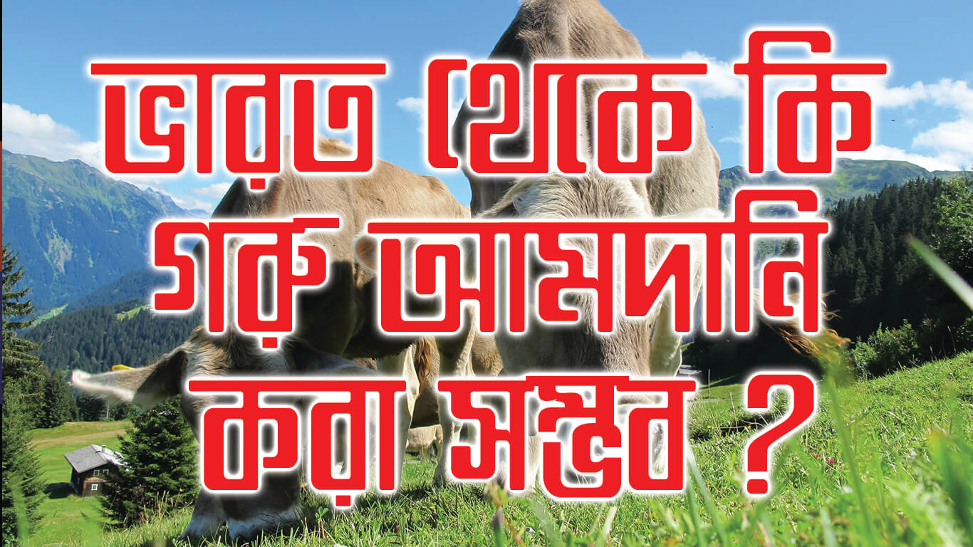 ভারত থেকে কি গরু আমদানি করা সম্ভব ?? How to import cow from india?