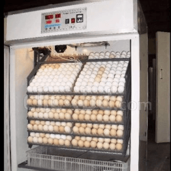 সব ধরনের ইনকিউবেটর ও পার্টস All kinds of incubator and parts