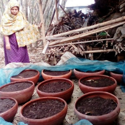 ভার্মি কম্পোস্ট , কেঁচো কম্পোস্ট