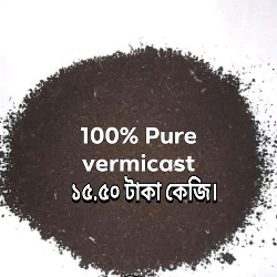 vermicompost price in Bangladesh । vermicompost fertilizer