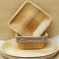 Eco-friendly areca leaf plate সুপারি পাতার খোলের তৈরি প্লেট