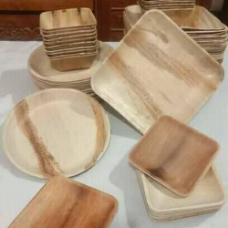 Eco-friendly areca leaf plate সুপারি পাতার খোলের তৈরি প্লেট