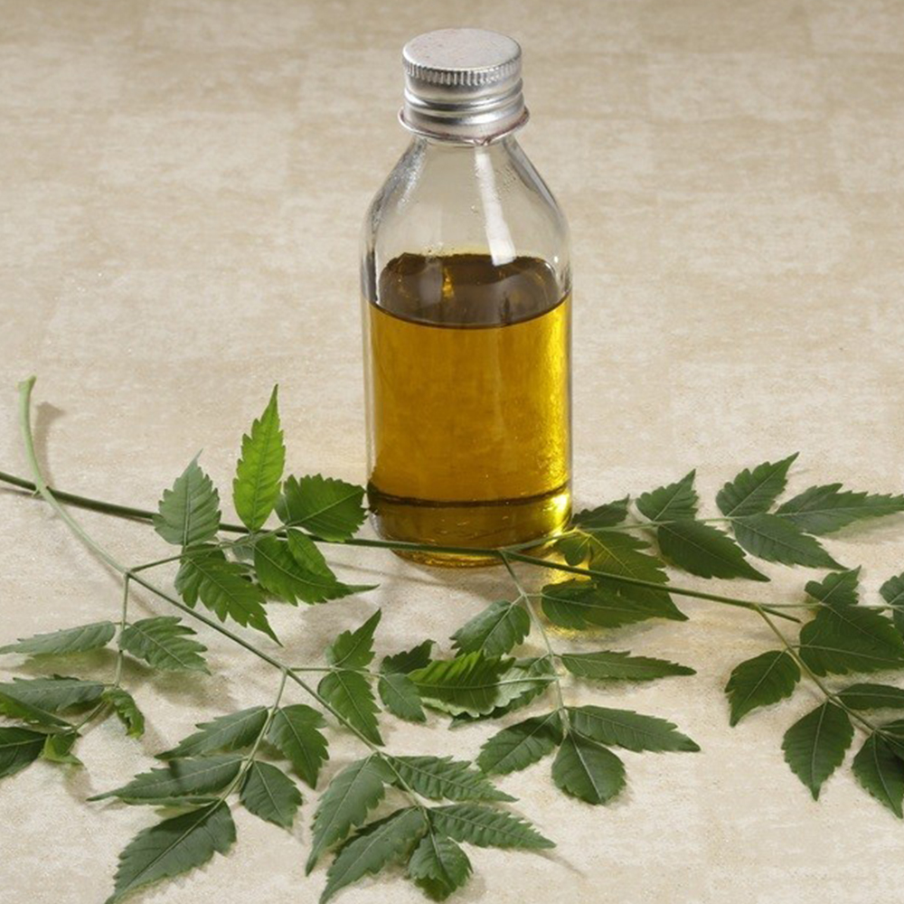 Neem oil । অনলাইনে পাইকারি নিম তেল কিনুন