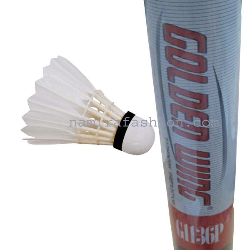 Wholesale Badminton Racket Golden Wing - Buy Golden Wing at Best Price in Banglades