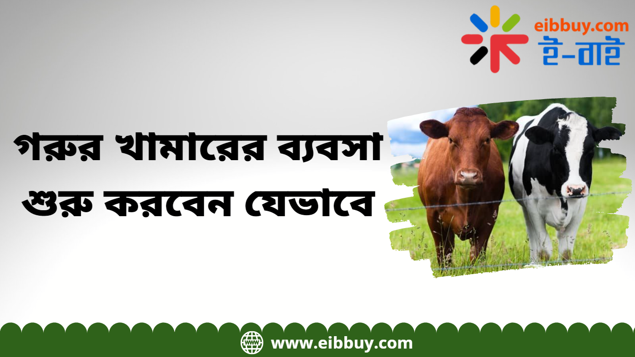 গরুর খামারের ব্যবসা শুরু করবেন যেভাবে