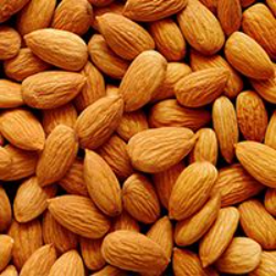 Almond-কাঠবাদাম