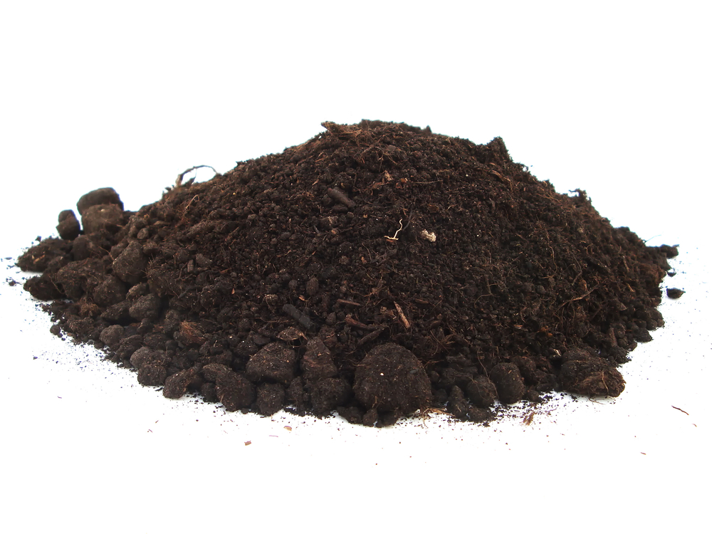 Vermicompost (কেঁচো সার)