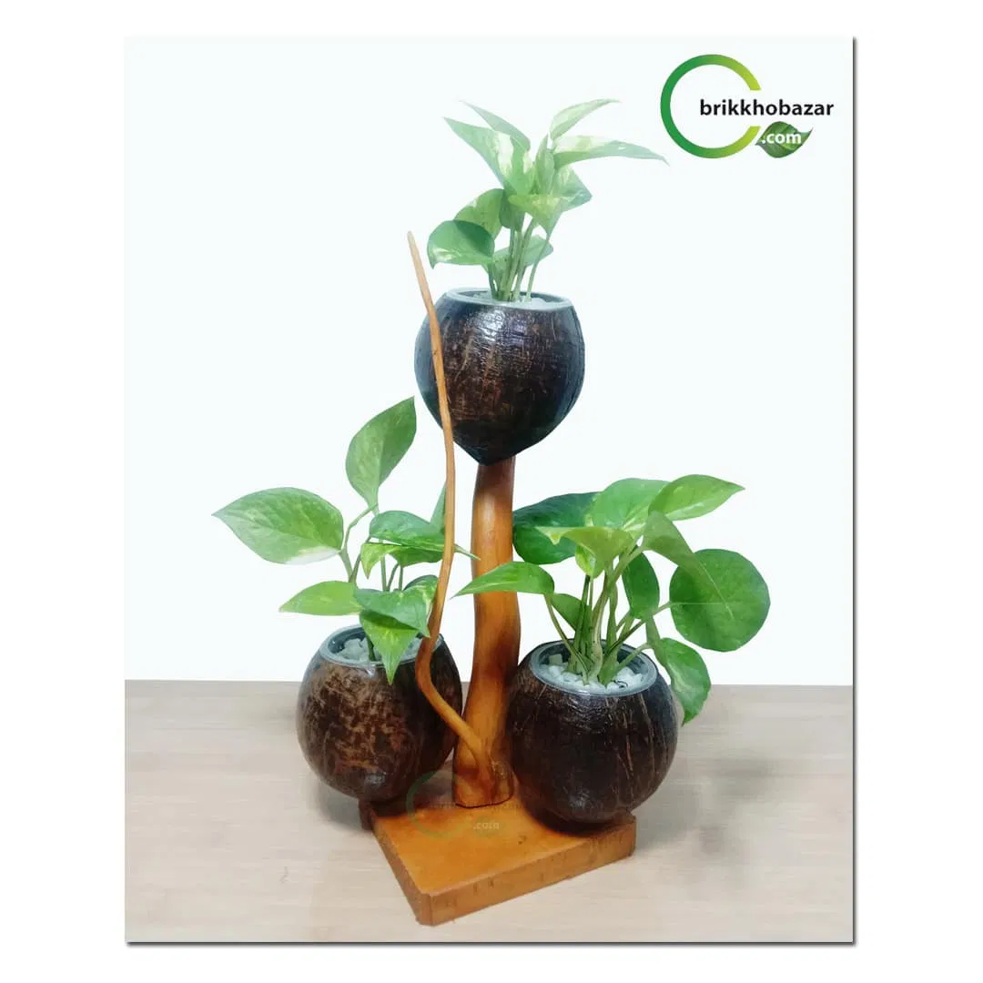 Indoor Plant Stand