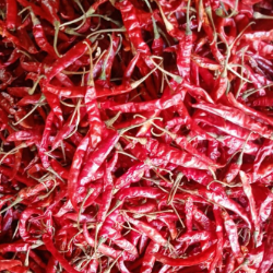 Teja Red Chilli Whole