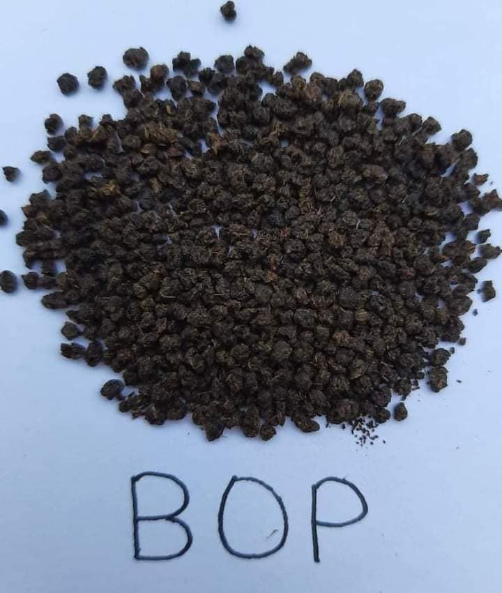 শাই টি - Shai Tea  (সুলভ মূল্যে টাটকা এবং সেরা চা পাতা)