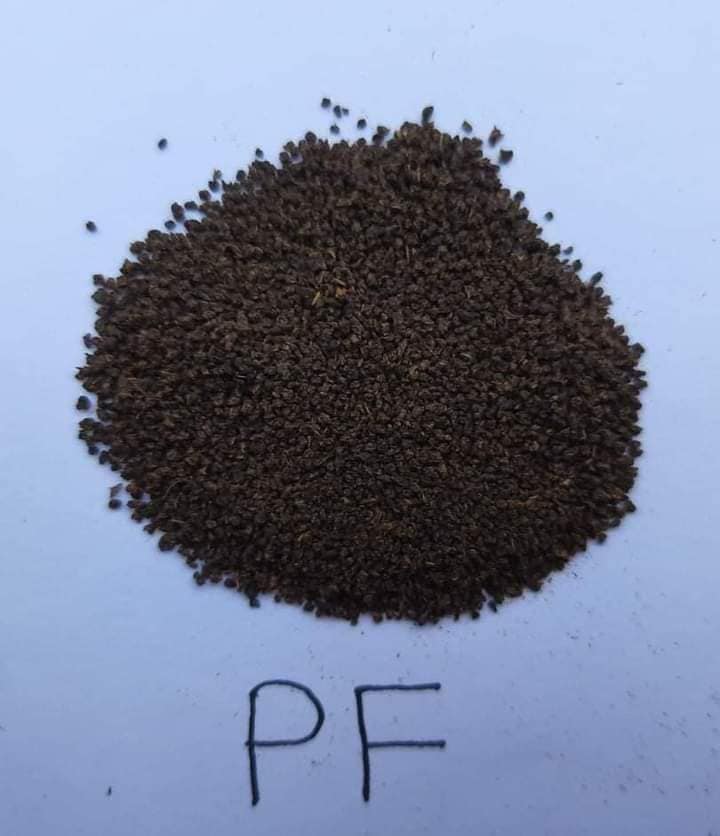 শাই টি - Shai Tea  (সুলভ মূল্যে টাটকা এবং সেরা চা পাতা)