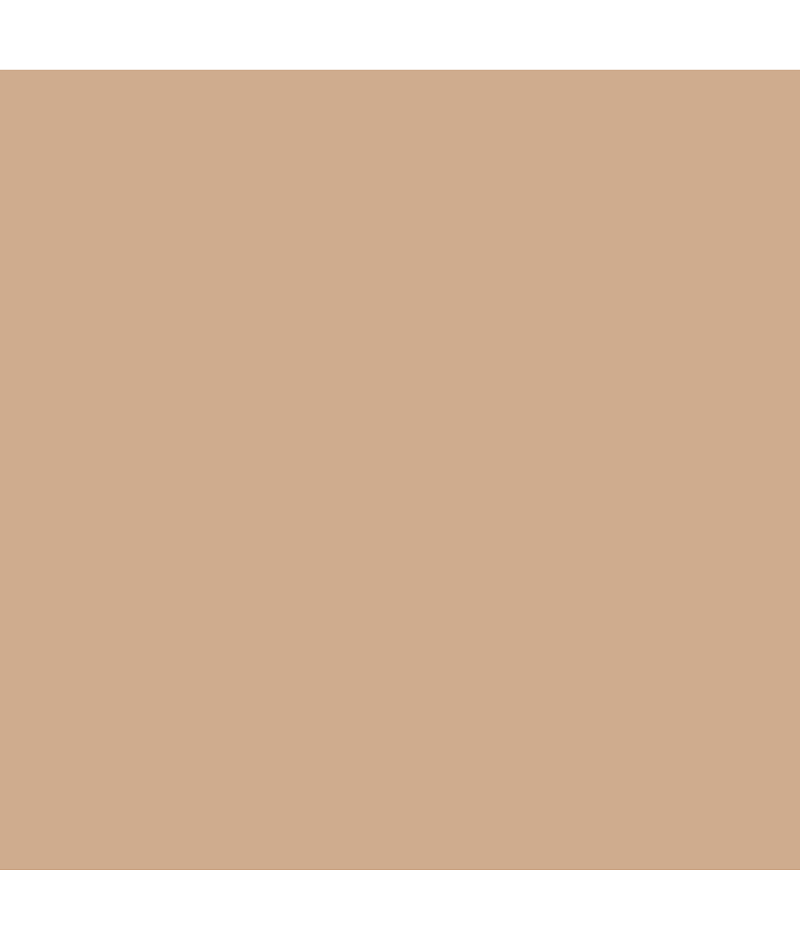 EasyLite Firm Control High-Waist Shaping Brief thumbnail 3