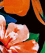 Wild Garden Frederica Bikini Top thumbnail 3