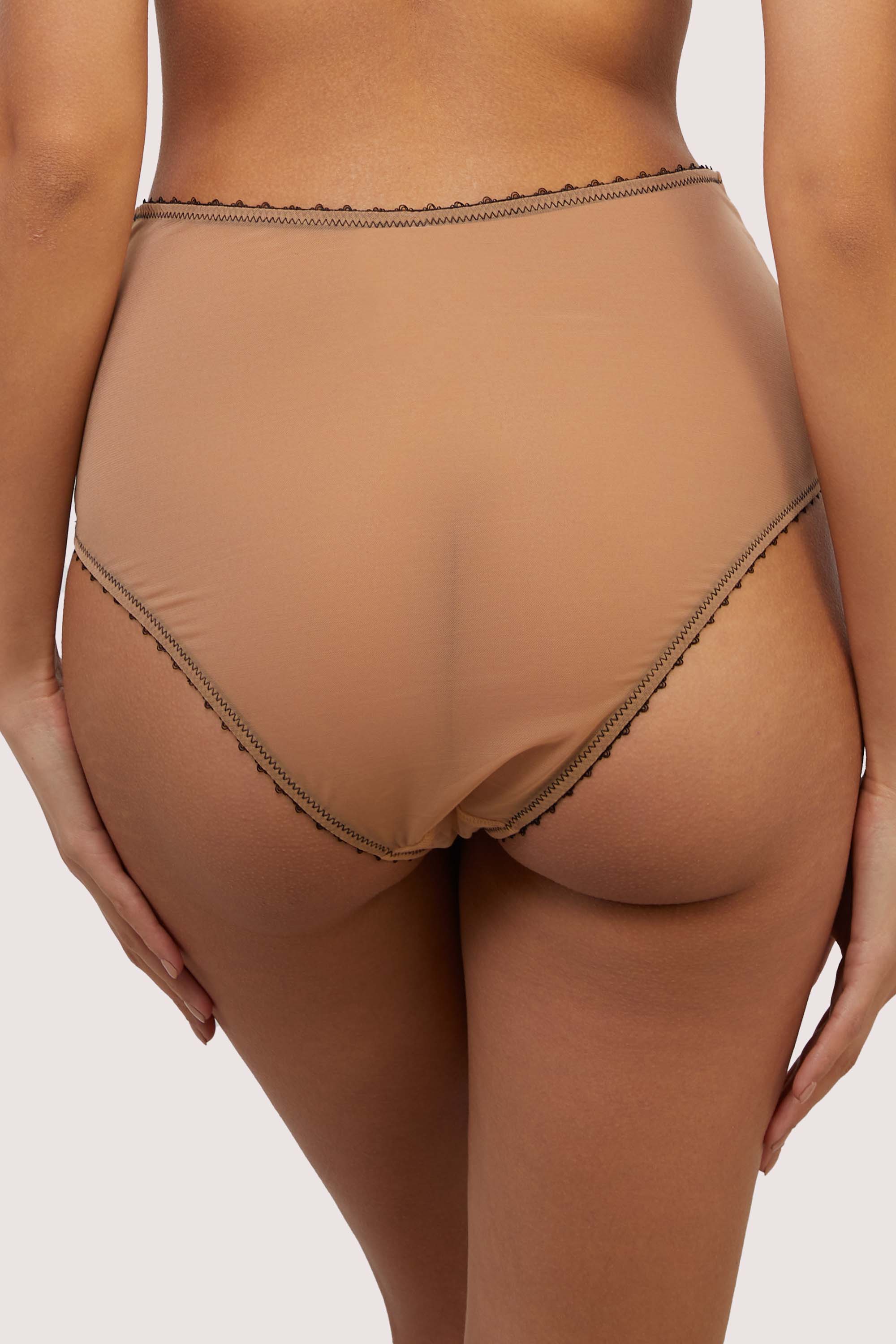 Esme Illusion Net and Fringe High Waisted Brief thumbnail 2