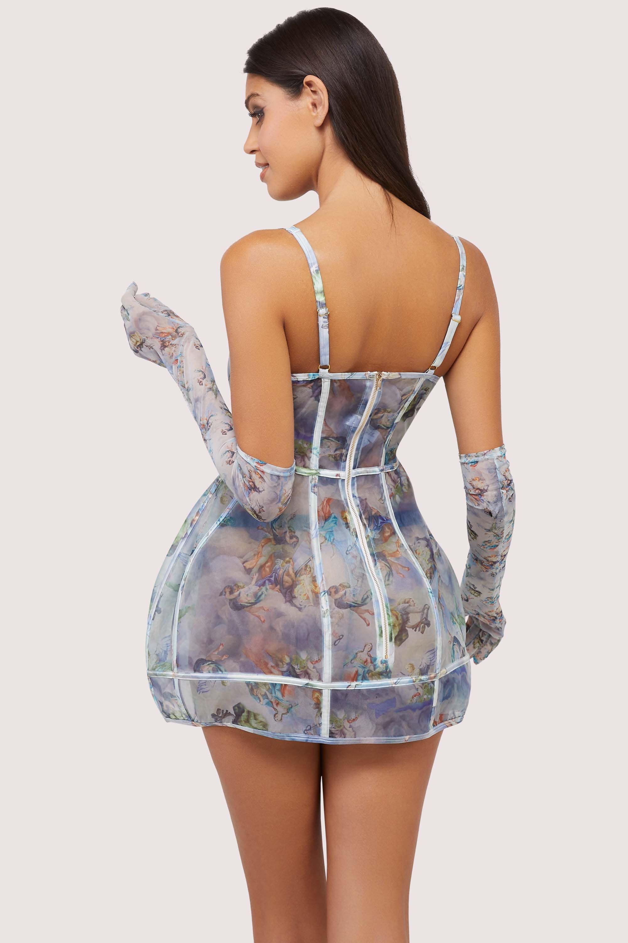 Gracie Renaissance Print Boned Underbust Mesh Mini Dress thumbnail 3