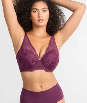 Lightly Lined Lace Plunge Bra