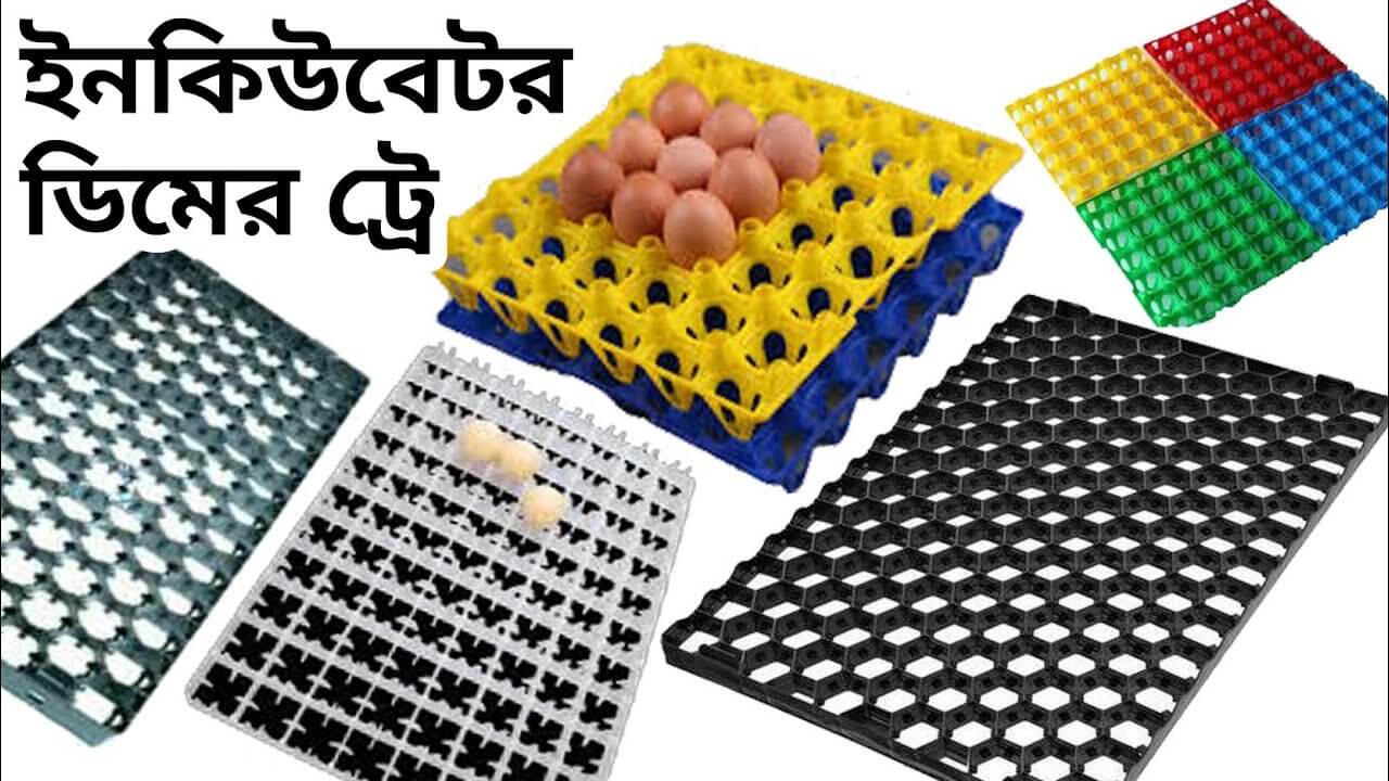 মধুমতি ইনকিউবেটর এন্ড ইলেকট্রিক