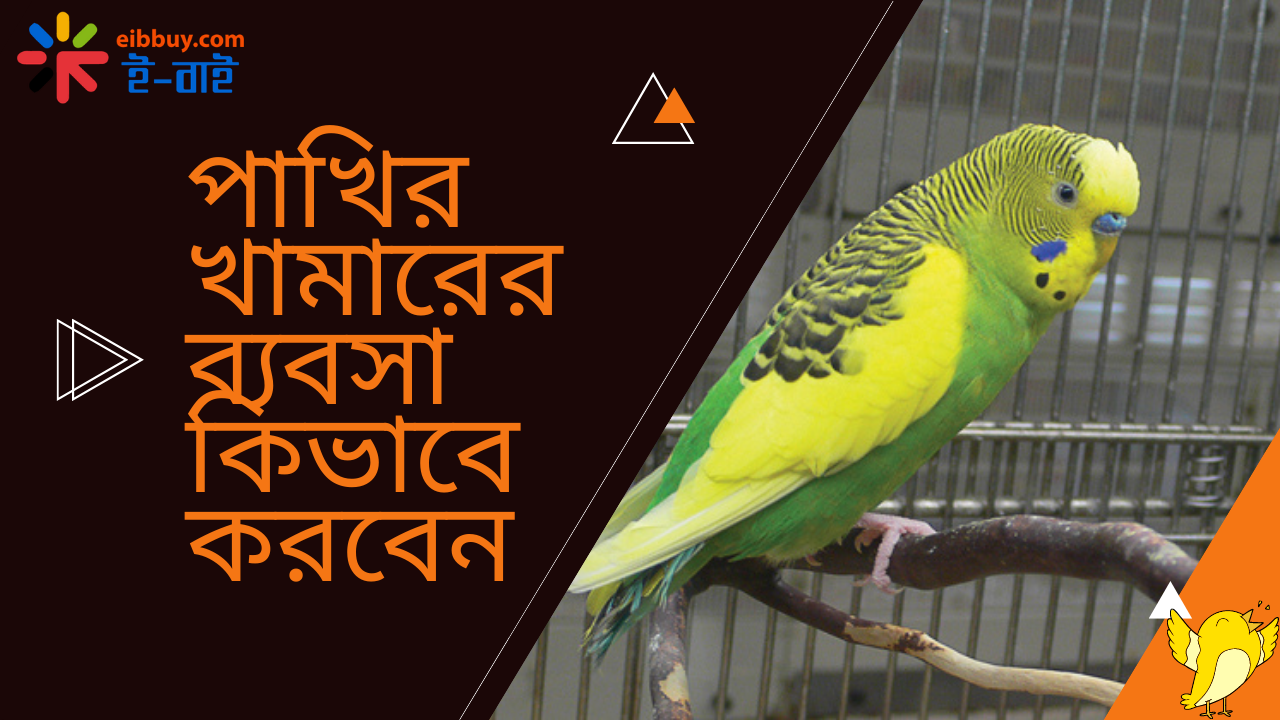 পাখির ব্যবসা কিভাবে করবেন