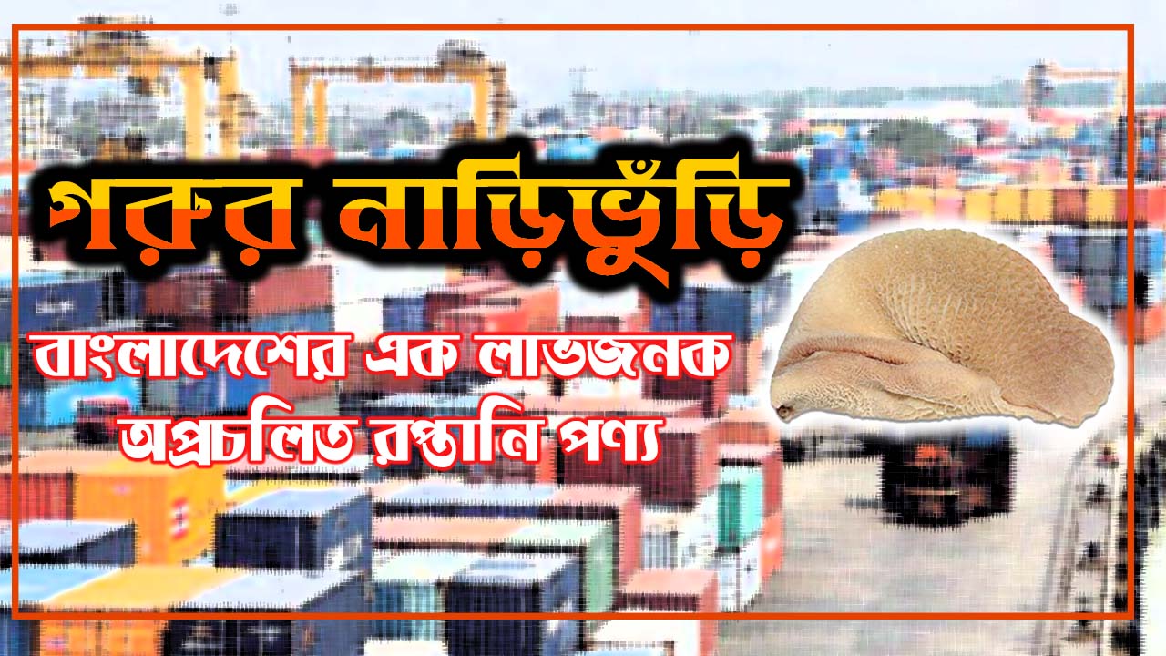 গরুর নাড়িভুঁড়ি: বাংলাদেশের এক লাভজনক অপ্রচলিত রপ্তানি পণ্য