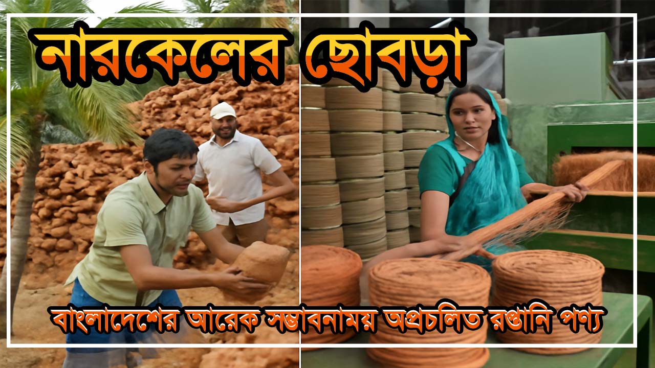 নারকেলের ছোবড়া: বাংলাদেশের আরেক সম্ভাবনাময় অপ্রচলিত রপ্তানি পণ্য