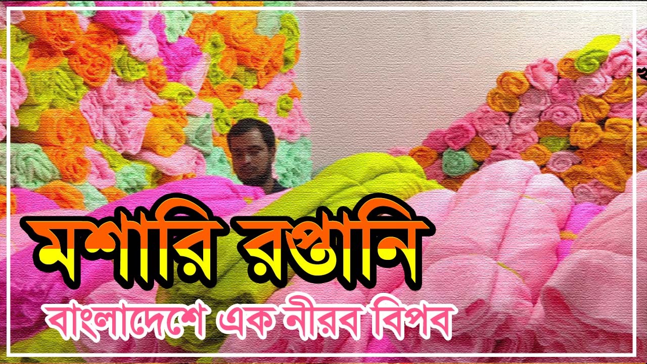 মশারি রপ্তানি: বাংলাদেশে এক নীরব বিপ্লব