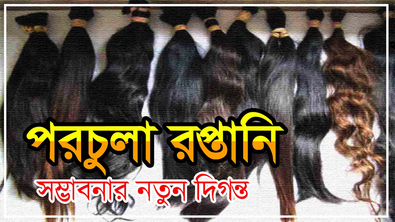বাংলাদেশের পরচুলা রপ্তানি: সম্ভাবনার নতুন দিগন্ত